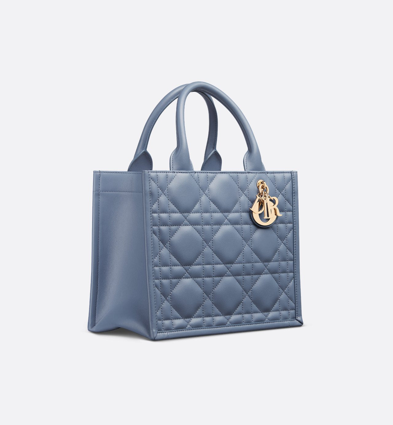 Sac Dior Book Tote Small