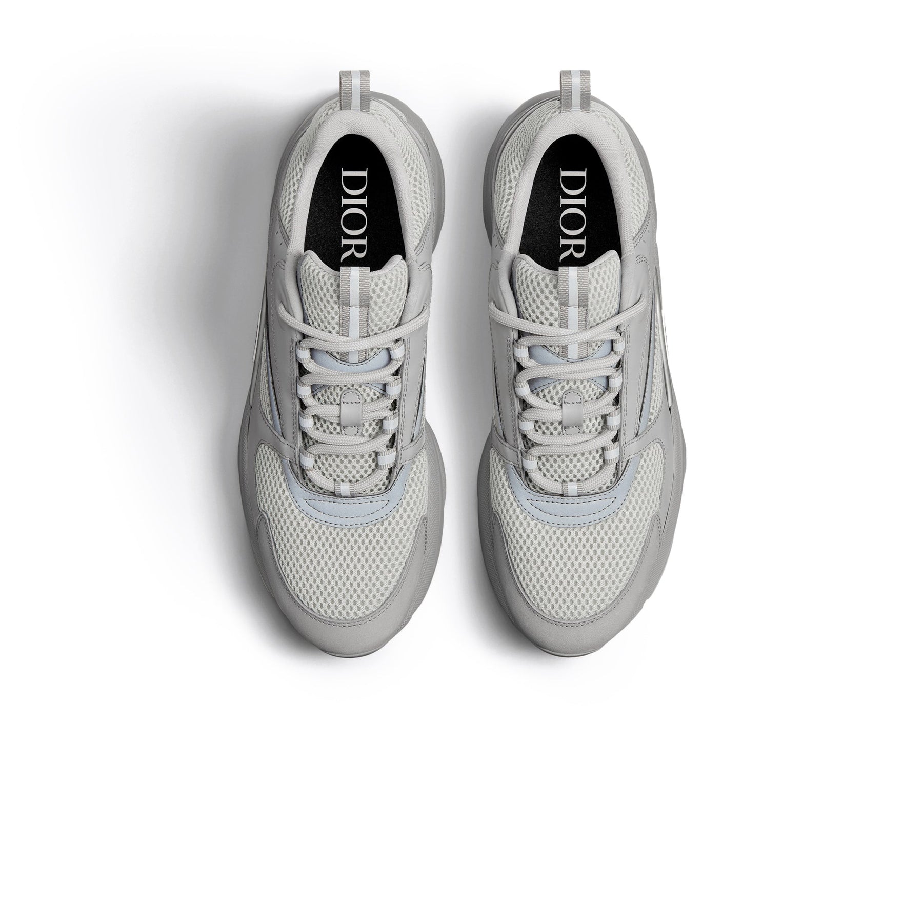 .Dior B22 Grey