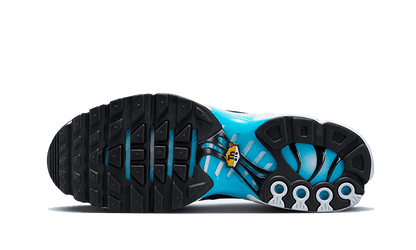 Nike® Air Max Plus Baltic Blue